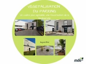 MDO - AMENAGEMENT PAYSAGER